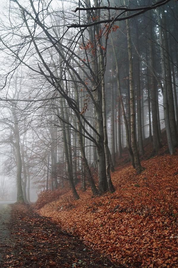 Apartamenty Bm'Kruk Stronie Śląskie Exteriér fotografie