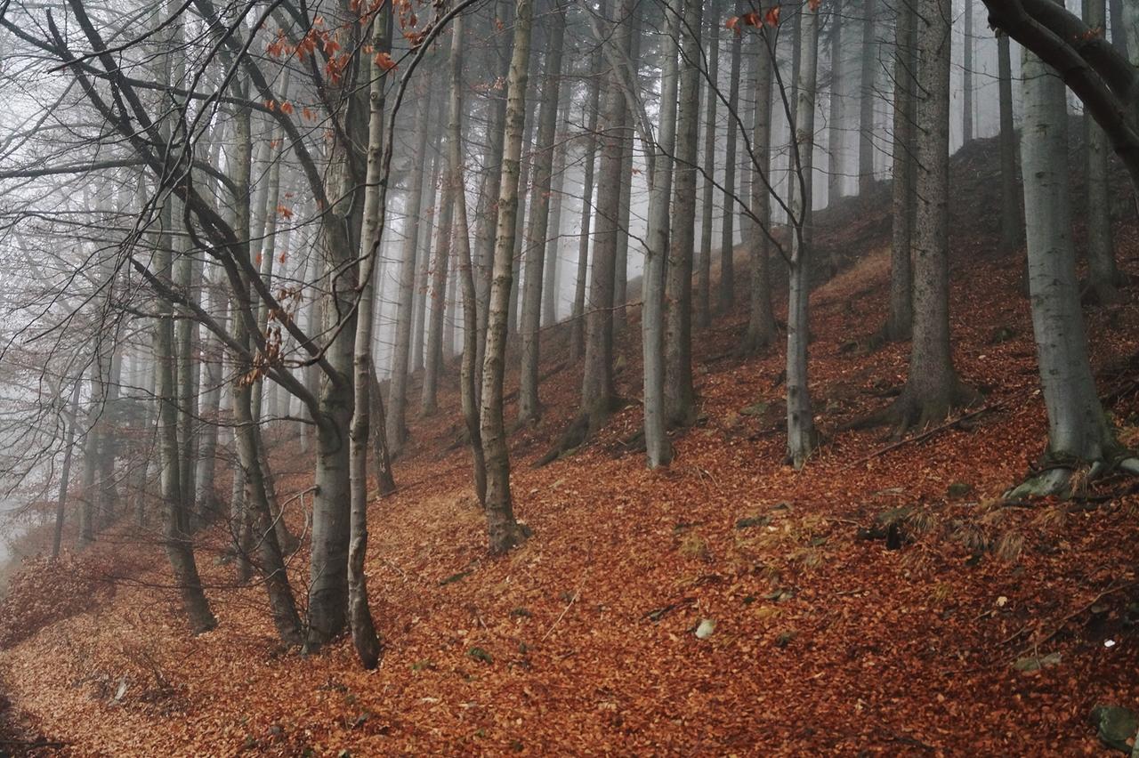 Apartamenty Bm'Kruk Stronie Śląskie Exteriér fotografie